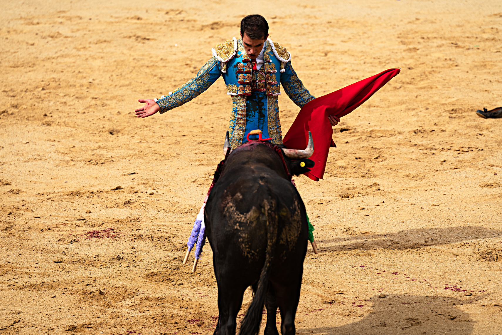 Bullfight02_WEB
