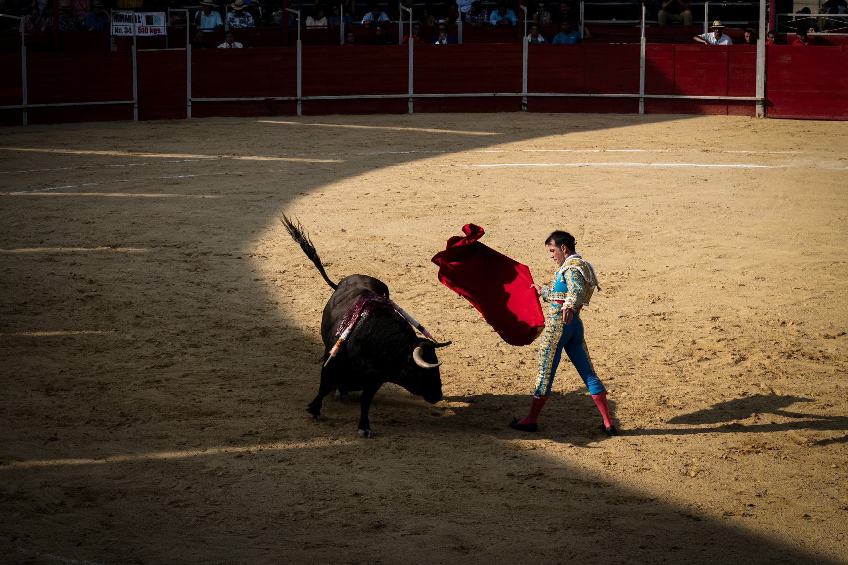 Bullfight05_WEB