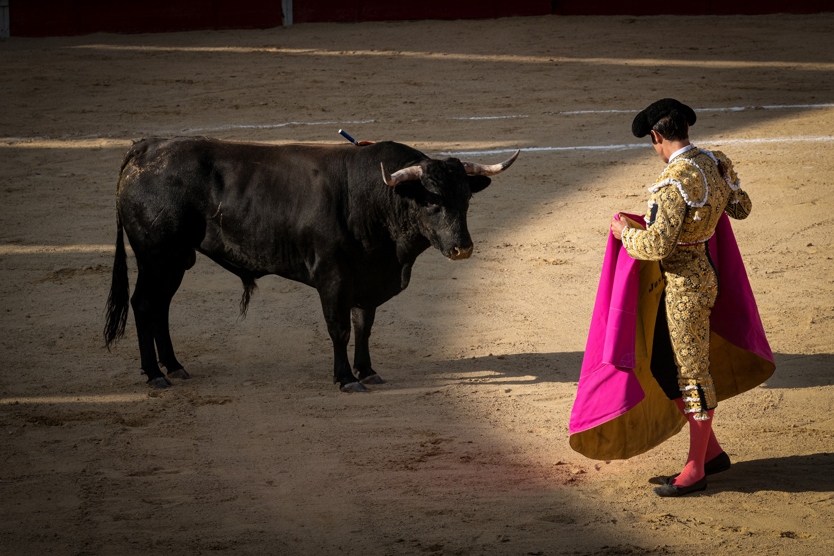 Bullfight07_WEB
