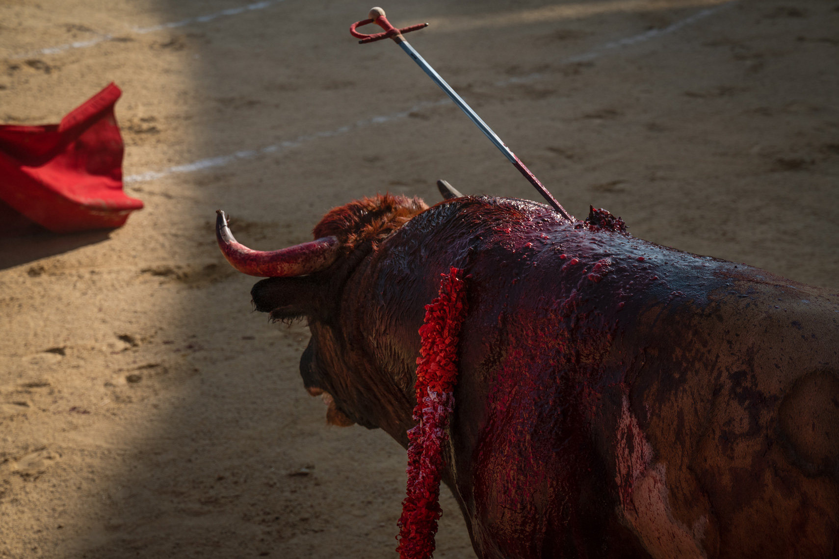 Bullfight15_WEB