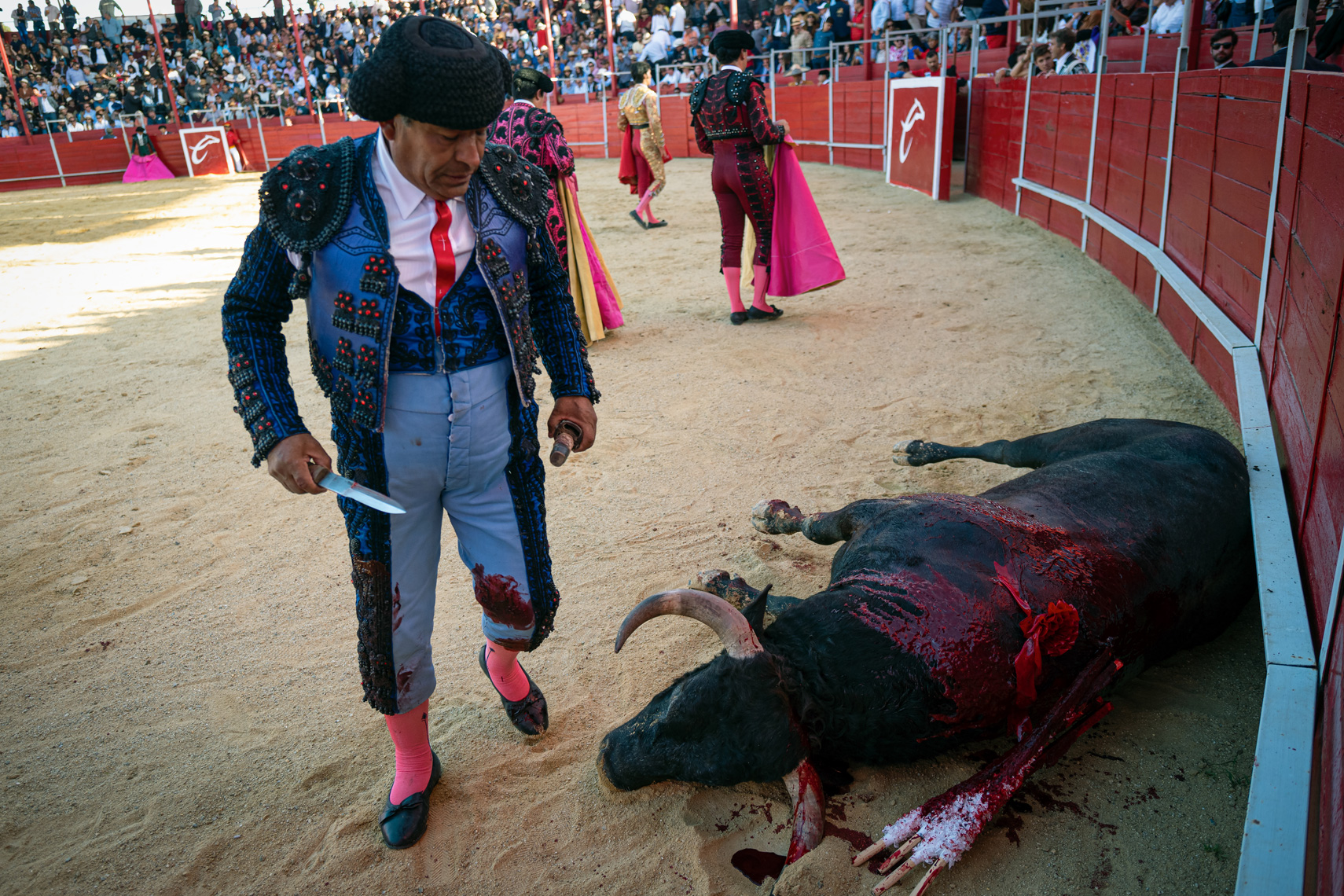 Bullfight16_WEB