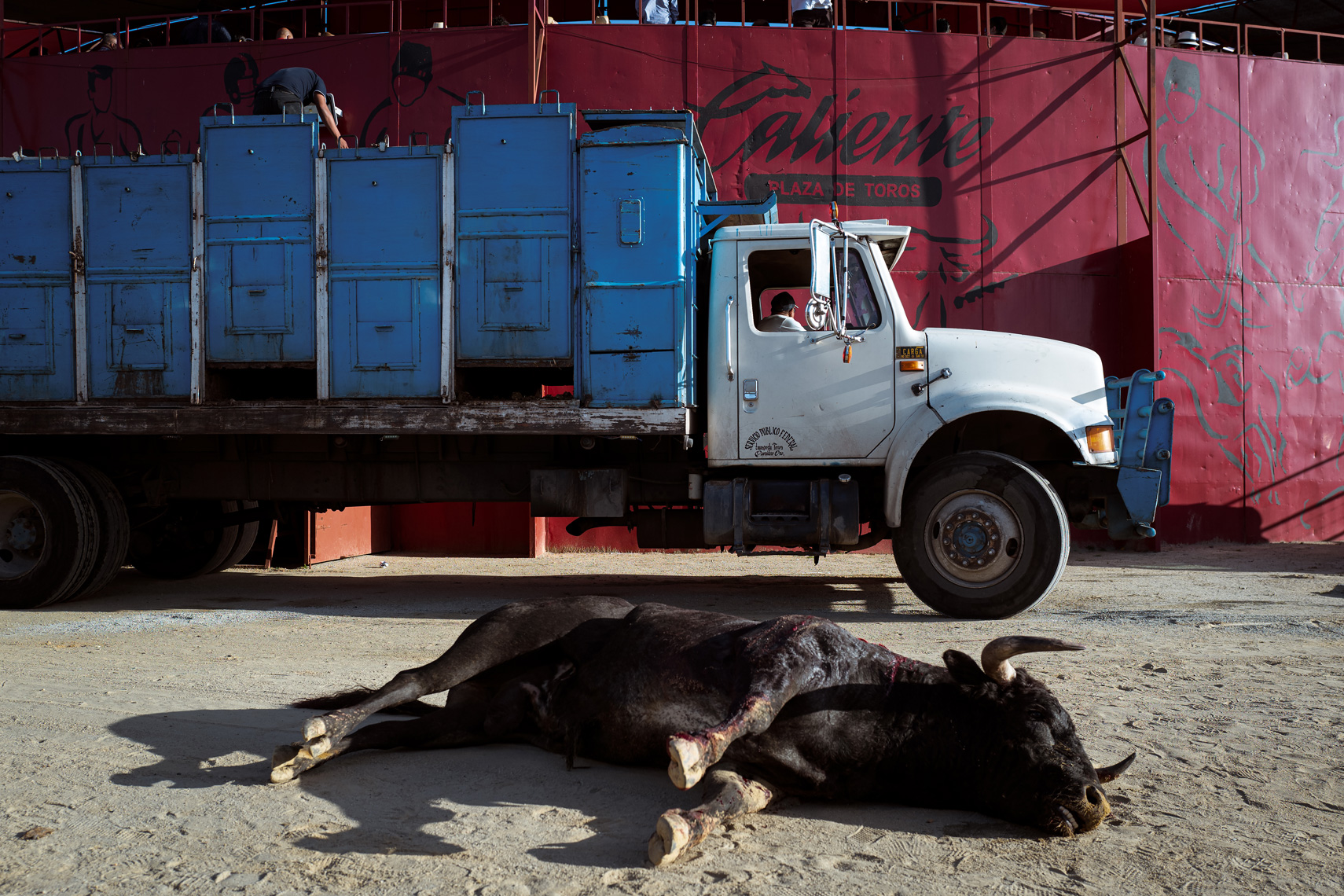 Bullfight19_WEB